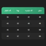 ست تیشرت و شلوارک دخترانه آبی (سایز 40 تا 55) طرح گیسو - تصویر 6