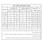 ست تیشرت و شلوارک بچگانه قهوه ای روشن (سایز 40 تا 55) طرح MIU - تصویر 9